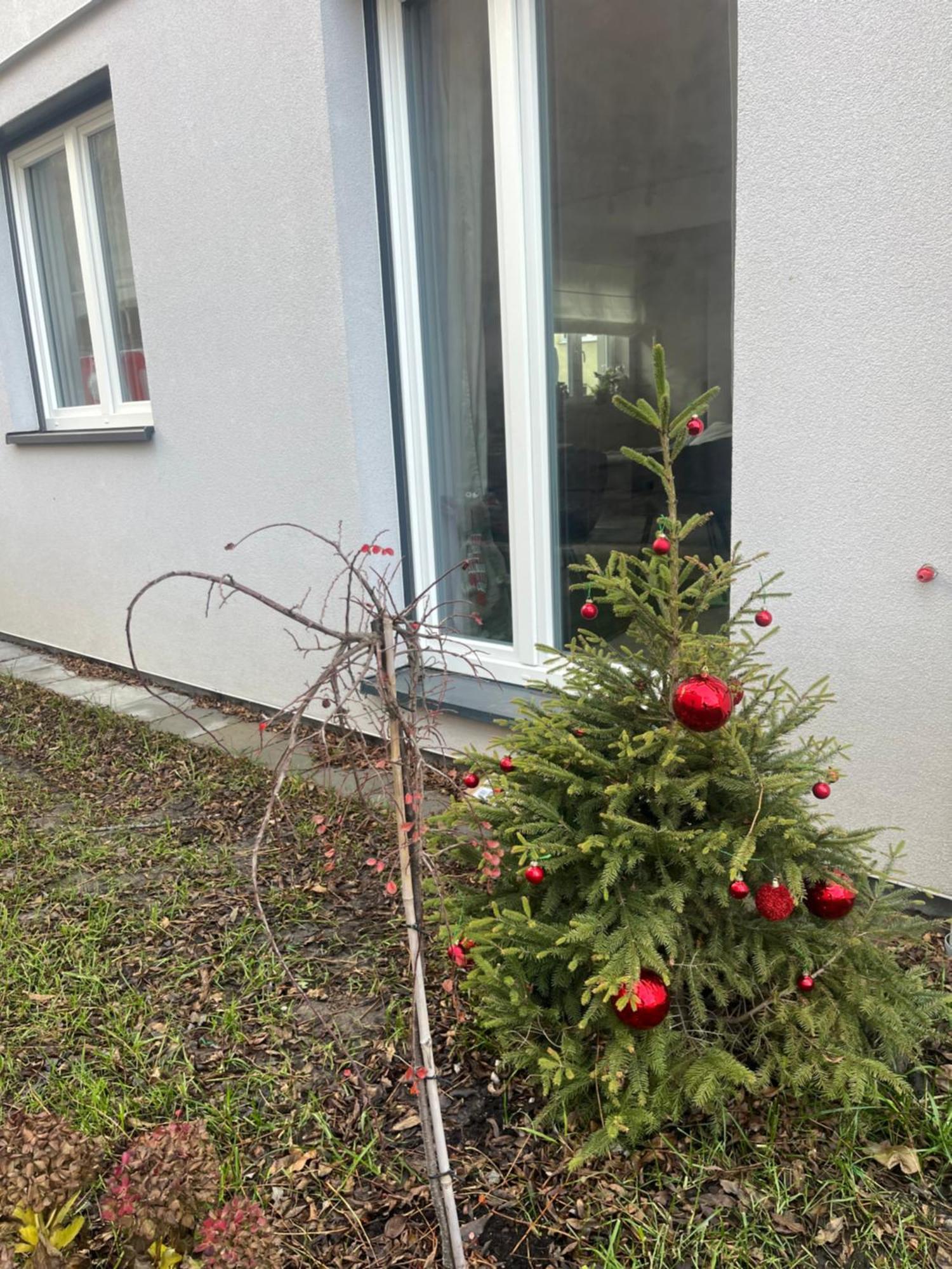 Apartament Kaszmirowy ビエルスコ・ビアバ エクステリア 写真